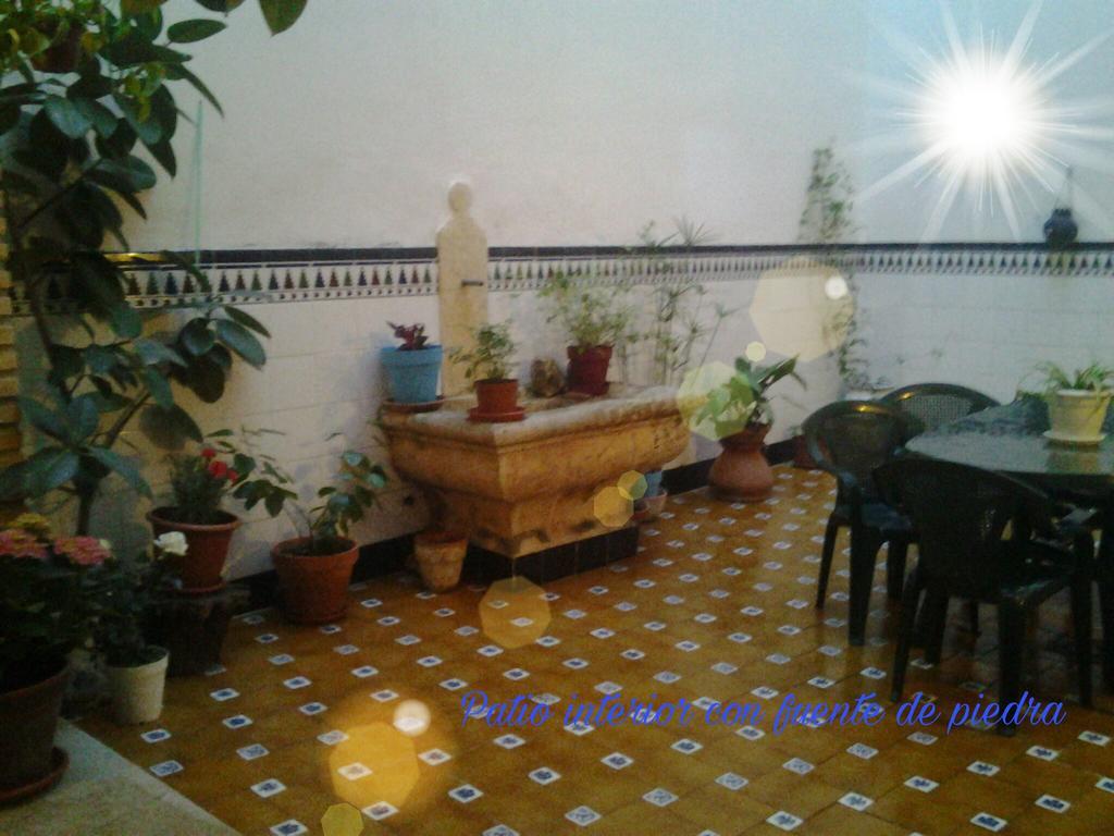 Casa Camino Al Castillo Xativa Exterior photo